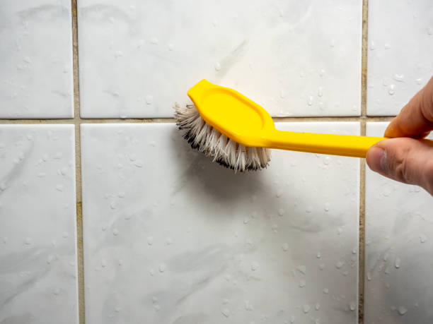 Best Fast Mold Removal  in Troutman, NC