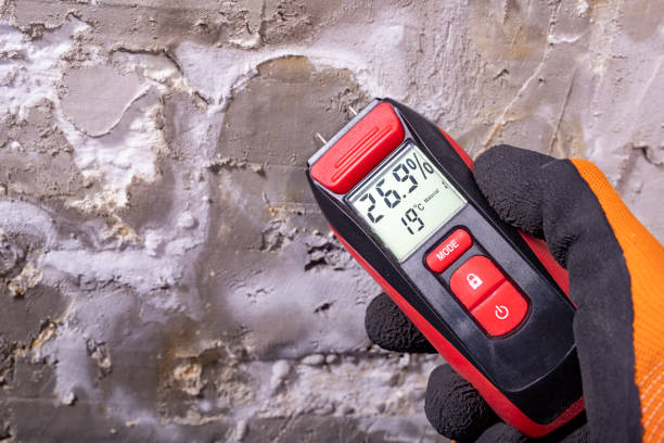 Best Attic Mold Removal  in Troutman, NC