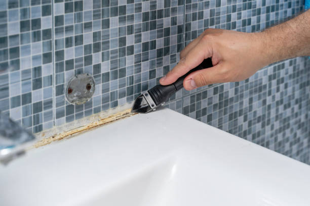 Best Toxic Mold Removal  in Troutman, NC