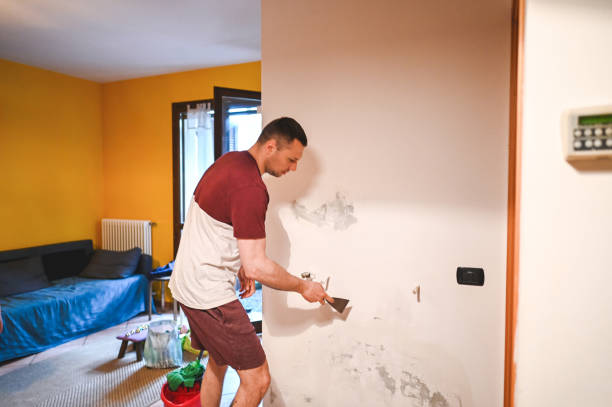 Best Local Mold Removal Service  in Troutman, NC