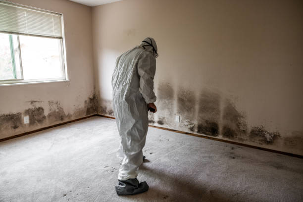 Best Mold Damage Repair  in Troutman, NC