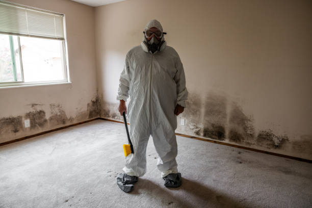 Best Mold Inspection  in Troutman, NC