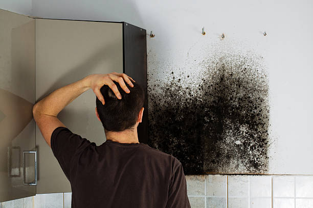  Troutman, NC Mold Removal Pros