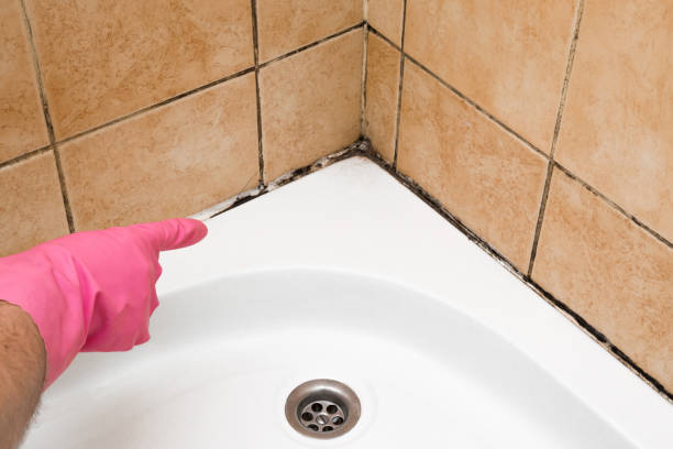 Best Residential Mold Removal  in Troutman, NC